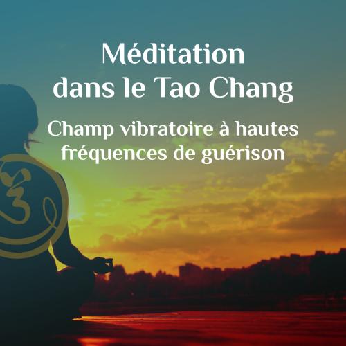 Session dans le Champ de guérison à hautes fréquences
